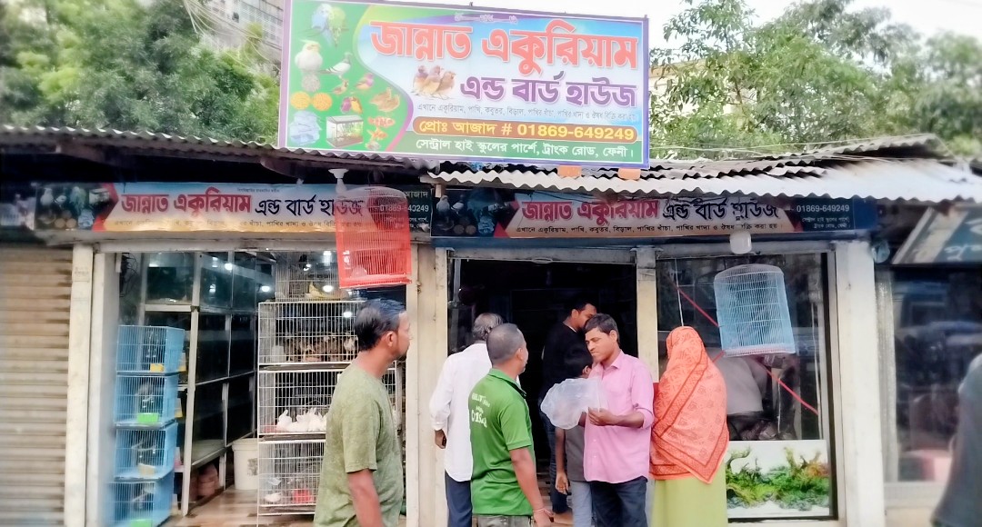 ফেনীতে পাখির দোকানে ক্রেতার জমজমাট ভীড়