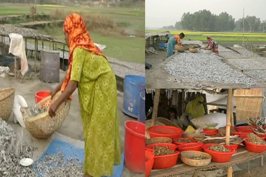 দেশের গণ্ডি পেরিয়ে বিদেশেও চলনবিলের শুটকি