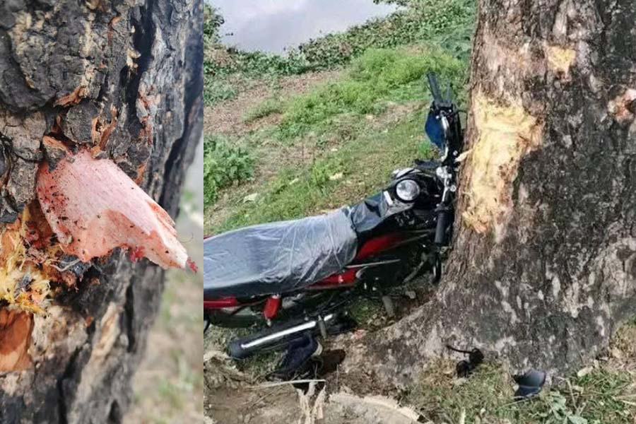 শিমুল বাগানে যাওয়া হলনা সাফিকুলের