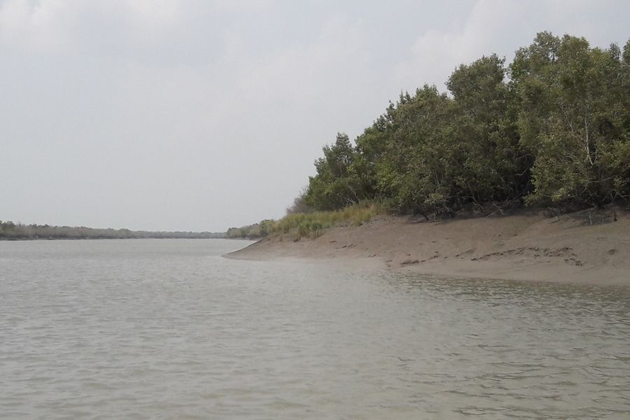 সুন্দরবন সাতক্ষীরা রেঞ্জ পর্যটকশূন্য, রাজস্ব আদায়ে ধস