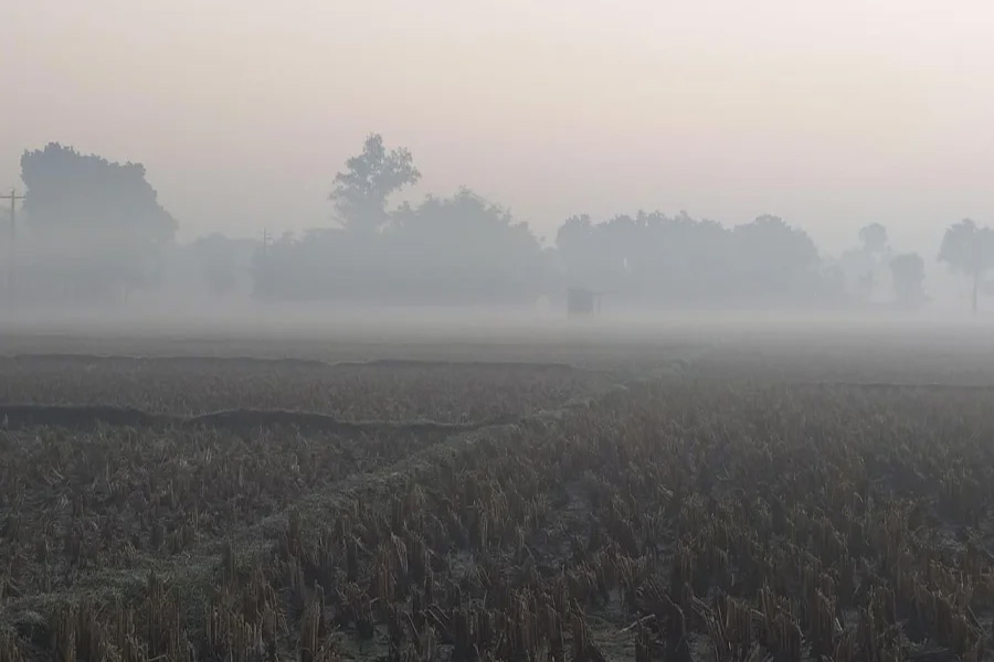 তেঁতুলিয়ায় মৃদু শৈত্যপ্রবাহ