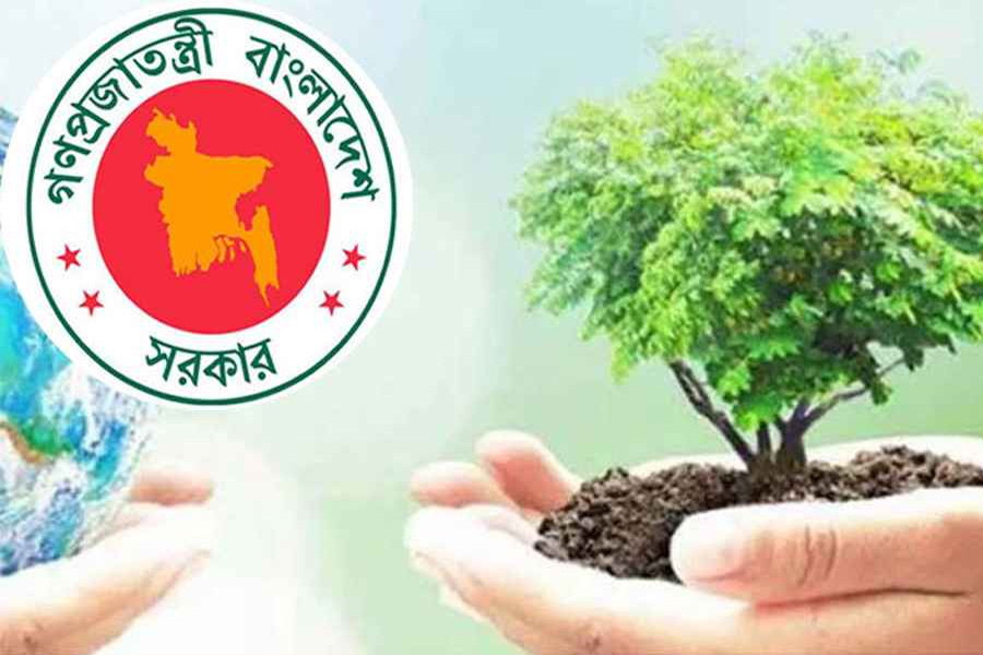 ৫৩ কোটি টাকার চারা ও সার বিনা মূল্যে দেবে সরকার