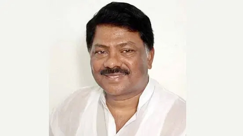 শেখ হাসিনা না পালালে, তার মাংস খুঁজে পাওয়া যেত না: দুলু