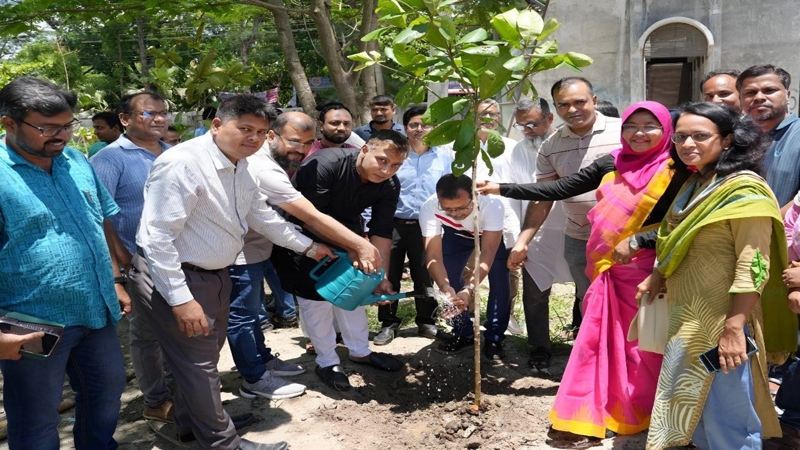 পাবিপ্রবিতে মাসব্যাপী বৃক্ষরোপণ কর্মসূচি উদ্বোধন