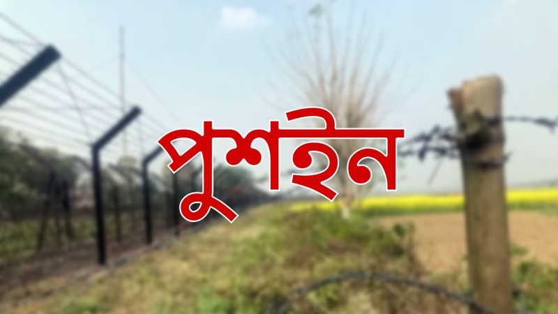 দিনাজপুর ও ঠাকুরগাঁও সীমান্ত দিয়ে ২০ জনকে পুশইন