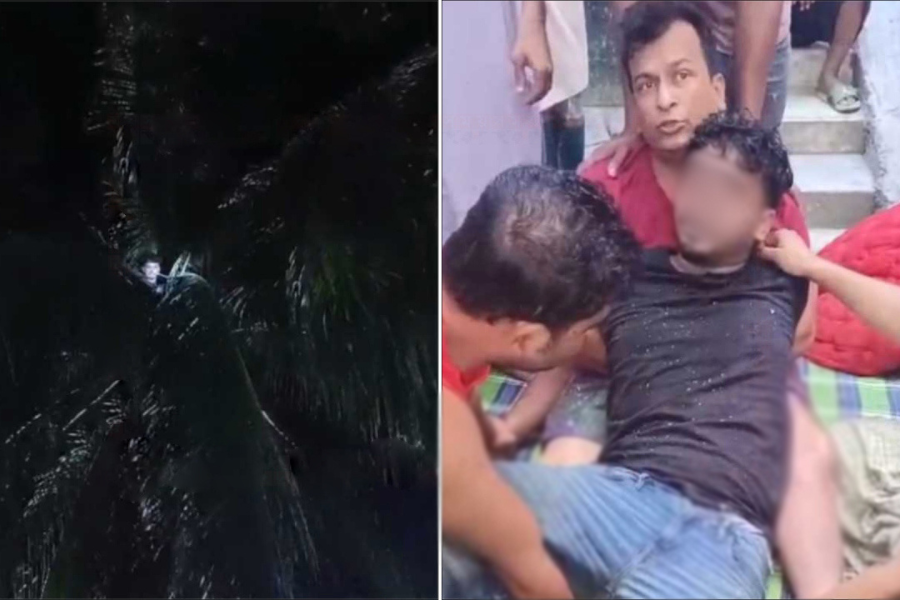 মধ্যরাতে নারিকেল গাছের চূড়ায় কলেজছাত্র, ফায়ার সার্ভিস ডেকে উদ্ধার