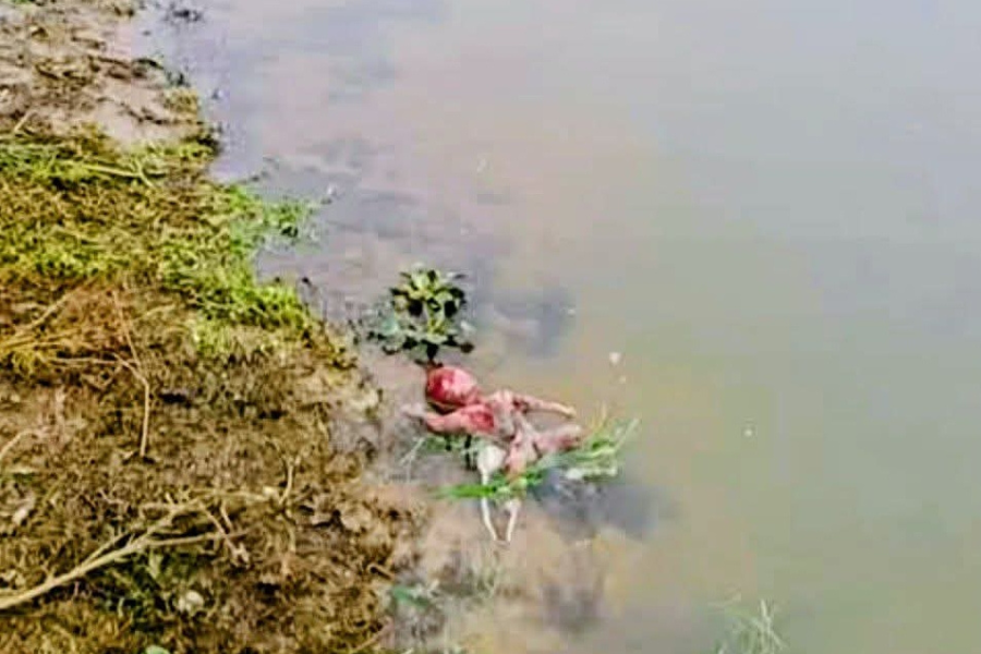 কেন্দুয়ায় নদীতে নবজাতকের মরদেহ, এলাকায় চাঞ্চল্য