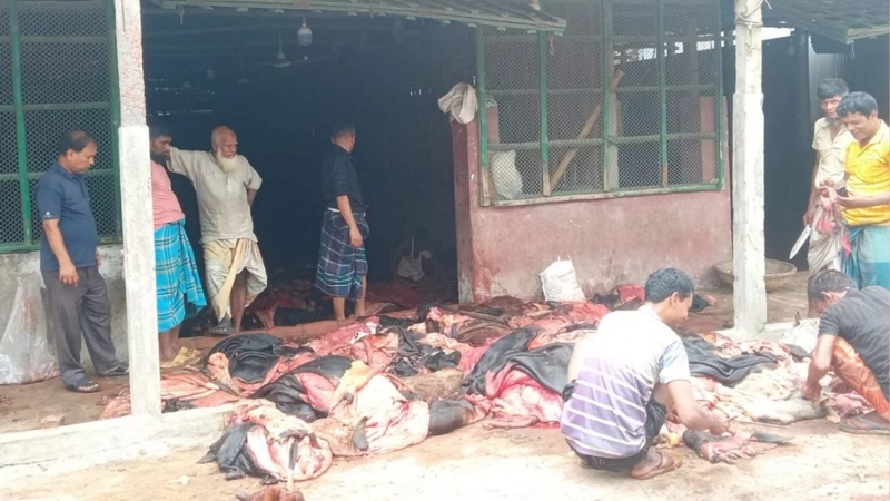 নির্ধারিত দামে চামড়া কিনতে চাইছেন না আড়তদাররা