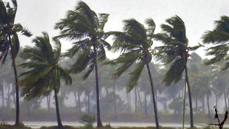 দুপুরের মধ্যে ঢাকাসহ ৯ জেলায় ঝড়বৃষ্টির সম্ভাবনা