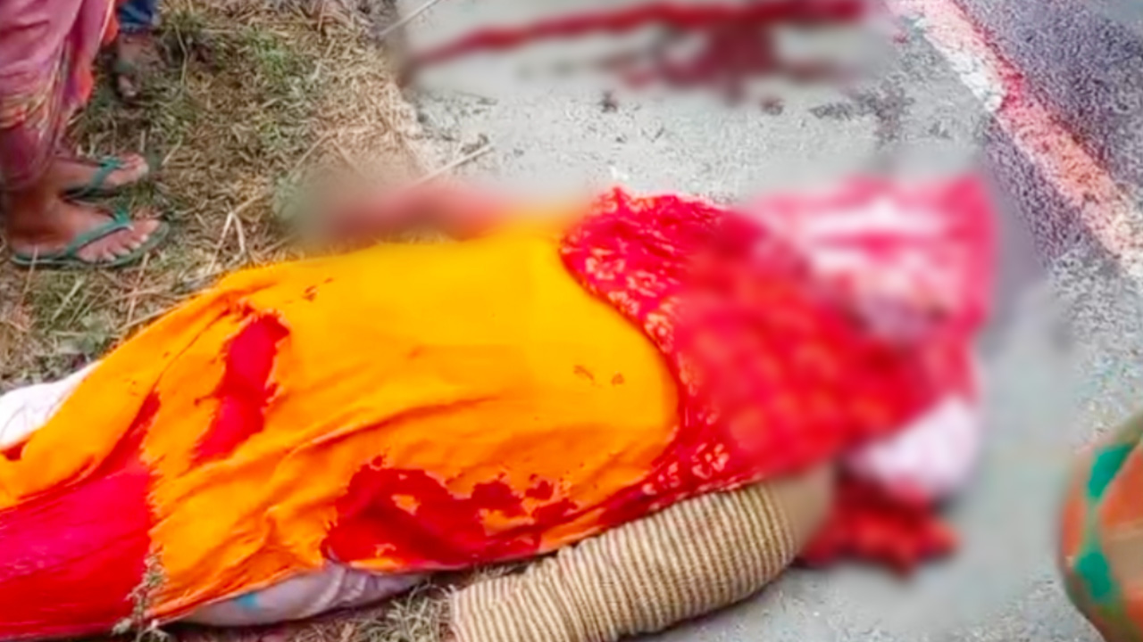 কালিহাতীতে যাত্রীবাহী বাসের ধাক্কায় নারী নিহত