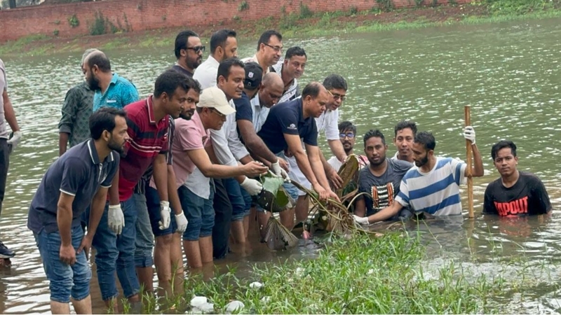 জিয়া উদ্যানের লেকে ‘শাপলা ফুল’ রোপণ করল আমরা বিএনপি পরিবার