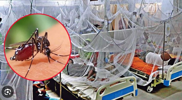 ডেঙ্গুতে একদিনে হাসপাতালে ১৩০৬ ভর্তী, মারা গেছে ৪
