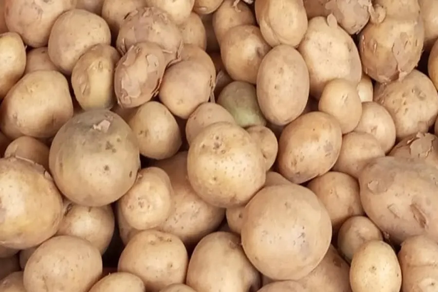 আলুর সর্বনিম্ন দাম বেঁধে দিলো সরকার