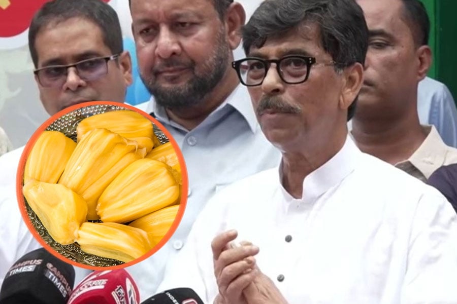 কাঁঠাল দিয়ে হচ্ছে শিঙাড়া-সমুচা-কাবাব, রপ্তানির আশা খাদ্যমন্ত্রীর