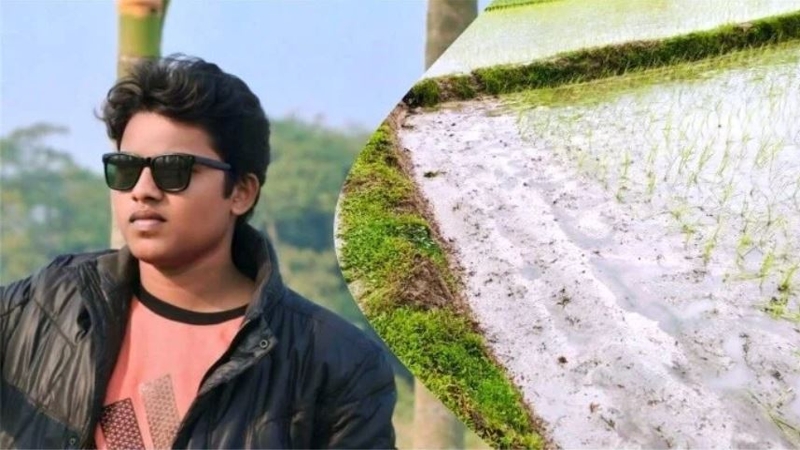 ট্রাক্টর দিয়ে রোপনকৃত চারা ধানের ক্ষতি, অভিযোগ কথিত সমন্বয়কের বিরুদ্ধে