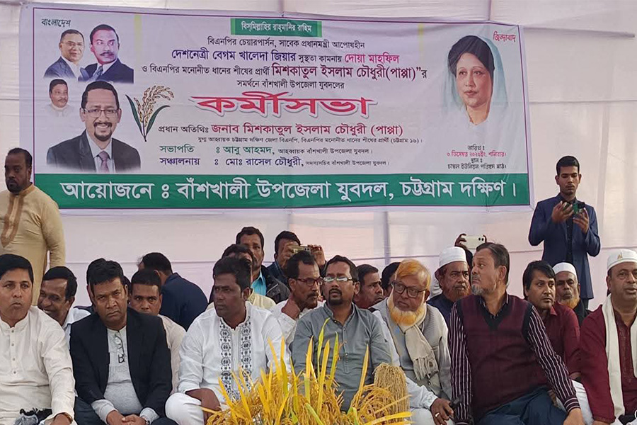 ঐক্যবদ্ধ ভাবে ধানের শীষের পক্ষে কাজ করার আহ্বান পাপ্পার