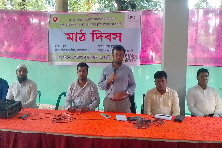 তালতলীতে কৃষি মাঠ দিবস অনুষ্ঠিত