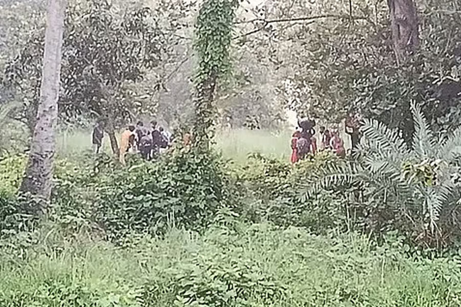বিএসএফের পুশইন ঠেকিয়ে দিলো বিজিবি, নো ম্যান্স ল্যান্ডে ২৮ জন