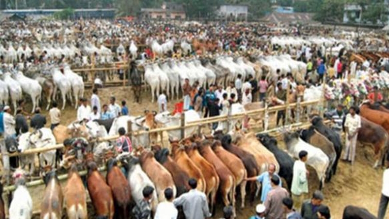 ভিড় জমেছে রাজধানীর পশুর হাটে, জমজমাট বেচাকেনা