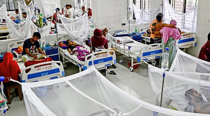 ডেঙ্গুতে ৬ জনের মৃত্যু