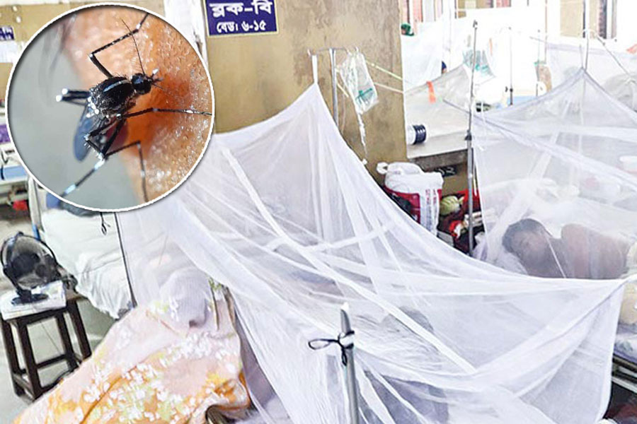 ডেঙ্গুতে ৩ জনের মৃত্যু