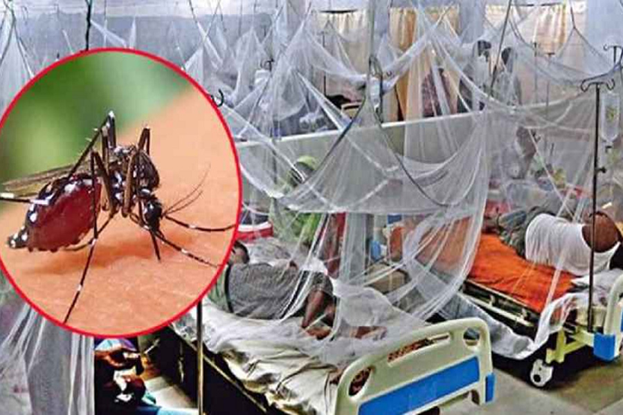 ডেঙ্গুতে ৩ জনের মৃত্যু, হাসপাতালে ভর্তি ৪১২