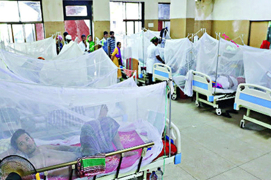 ডেঙ্গুতে আরও ৩ জনের মৃত্যু
