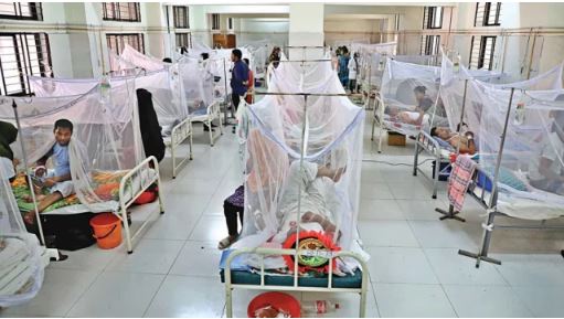 ডেঙ্গুতে চারজনের মৃত্যু, হাসপাতালে ৭৮১ জন