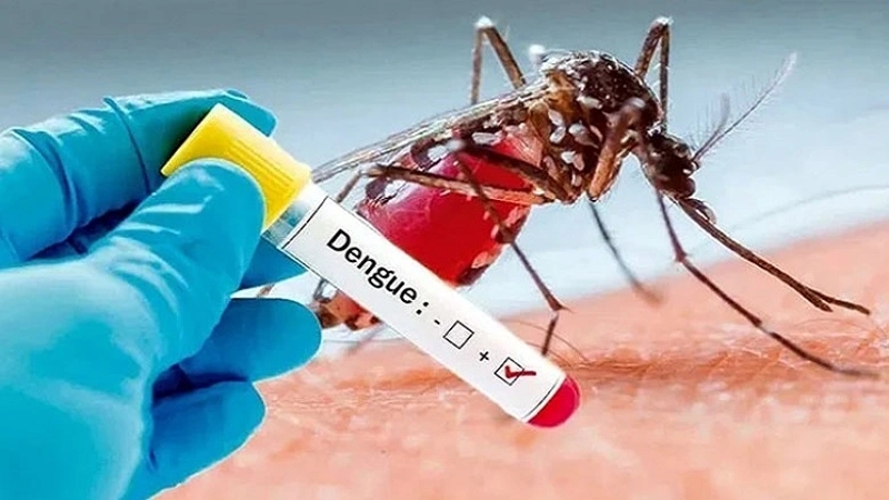 একদিনে ২৪৯ জনের ডেঙ্গু শনাক্ত, মৃত্যু ১