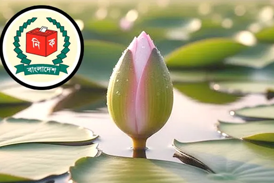 প্রতীক তালিকায় ‘শাপলা কলি’ কেন, জানাল ইসি