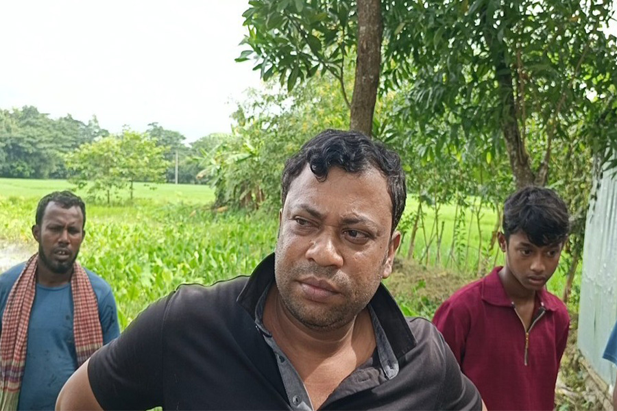 ফেনীতে সরকারি রাস্তার গাছ কর্তনের অভিযোগ