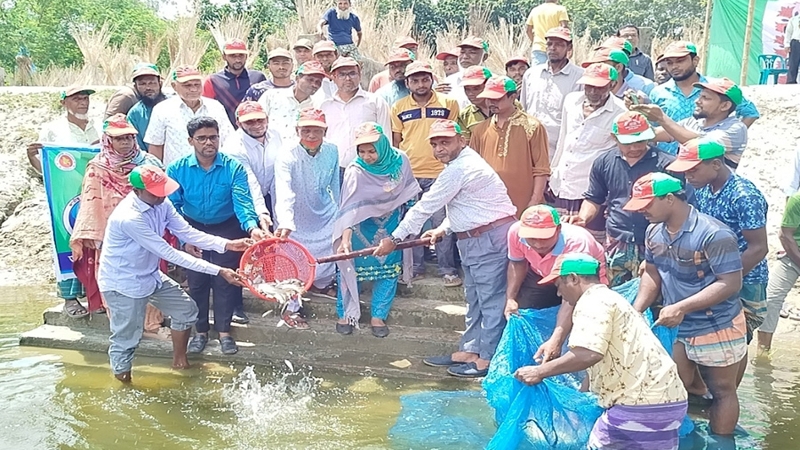 ফুলবাড়ীতে মৎস্য সপ্তাহ উপলক্ষে রেলি ও আলোচনা সভা