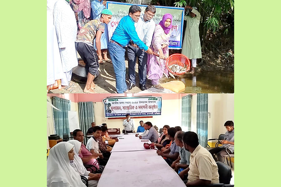 ফুলবাড়ীতে পোনা অবমুক্তকরণের মধ্য দিয়ে শেষ হলো জাতীয় মৎস্য সপ্তাহ