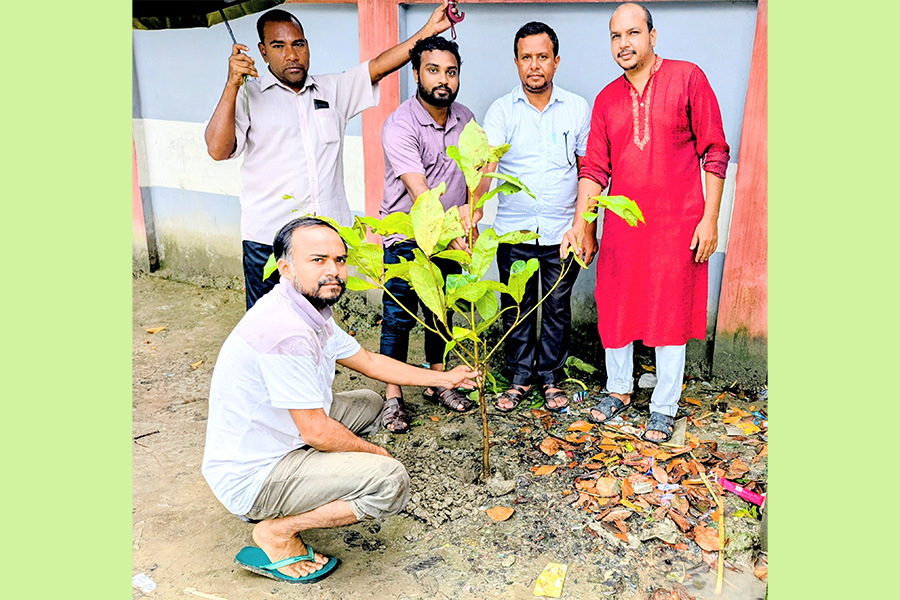 আলোকধারা যুব সংগঠনের উদ্যোগে বৃক্ষরোপন কর্মসূচি অনুষ্ঠিত