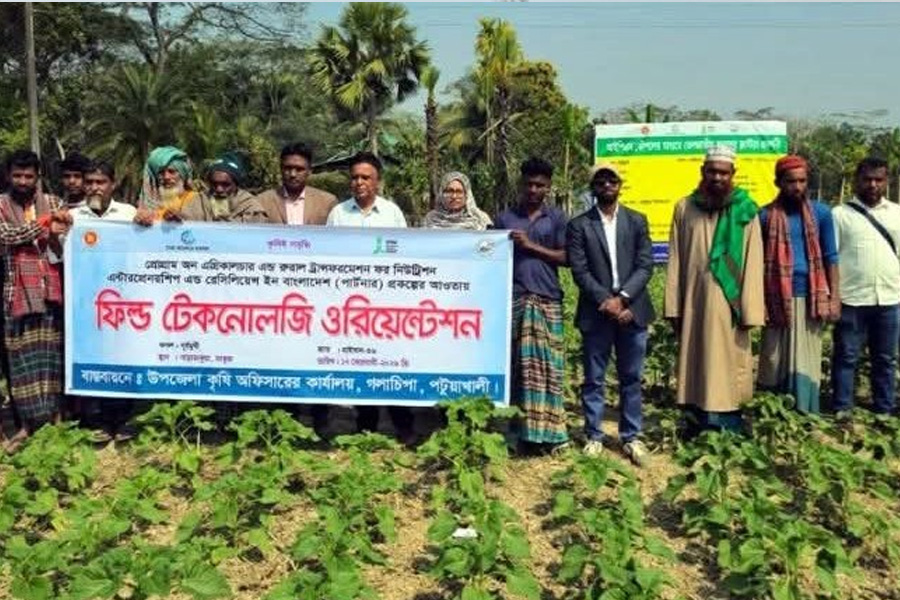গলাচিপায় কৃষকদের নিয়ে মাঠ পর্যায়ে প্রযুক্তি দিকনির্দেশনা কর্মসূচি