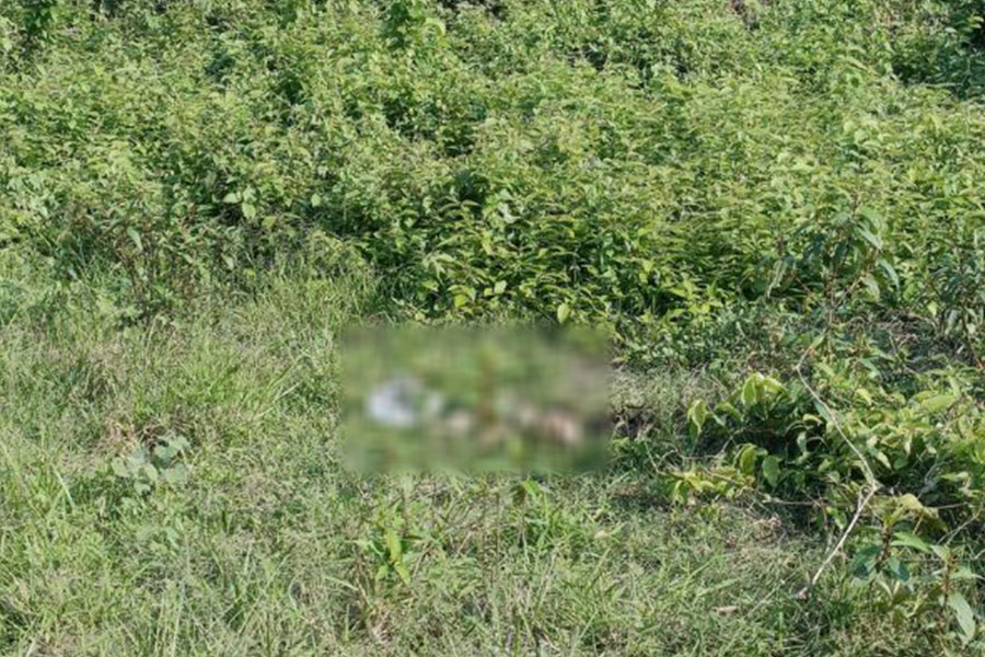 ছাগল খুঁজতে গিয়ে মিলল মানুষের মাথার খুলি