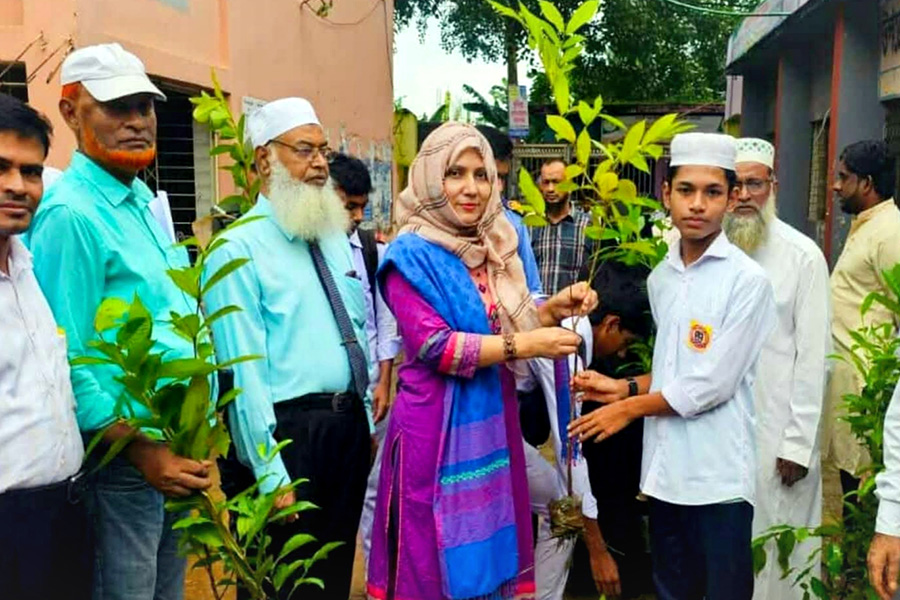 ব্রাহ্মণপাড়ায় বিভিন্ন শিক্ষা প্রতিষ্ঠানে ৫ হাজার গাছের চারা বিতরণ