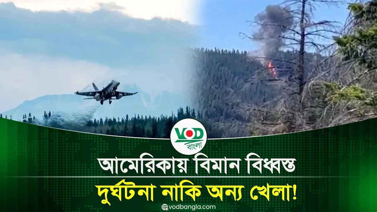 আমেরিকায় বিমান বিধ্বস্ত, দুর্ঘটনা নাকি অন্য খেলা!
