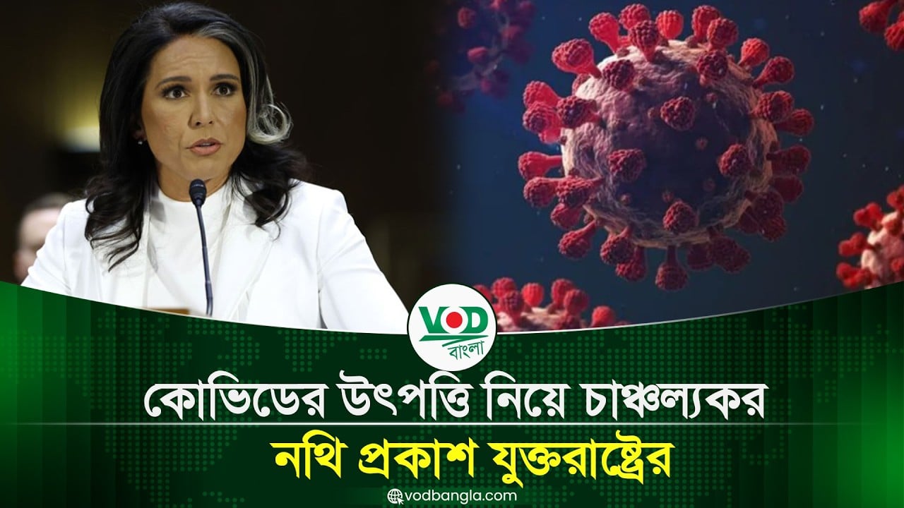 কোভিডের উৎপত্তি নিয়ে চাঞ্চল্যকর নথি প্রকাশ যুক্তরাষ্ট্রের