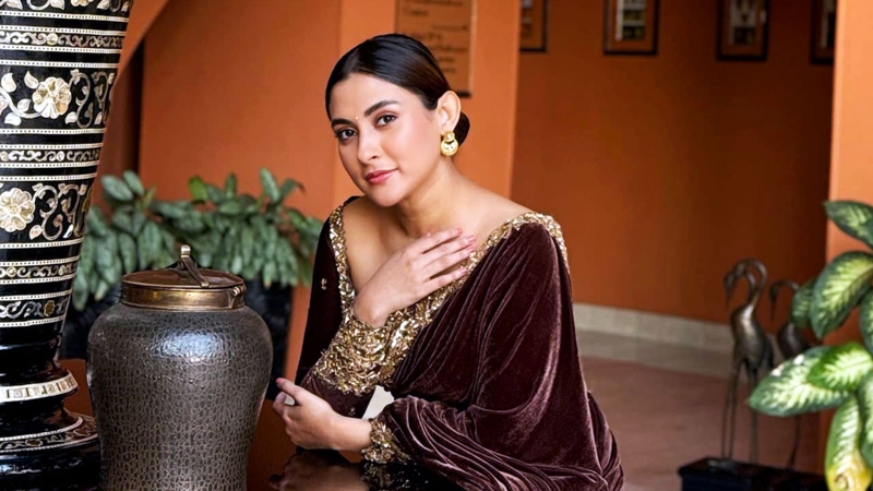 বিয়ের পিঁড়িতে বসছেন মেহজাবীন