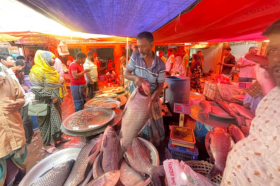 এক কিলোমিটার জুড়ে শতবর্ষী কাতলা মাছের মেলা