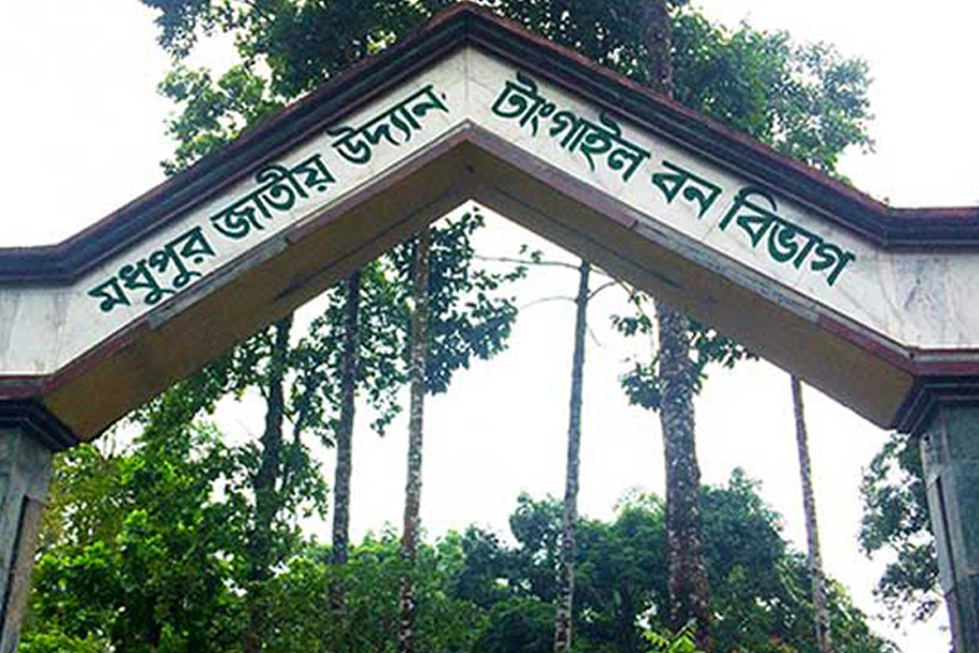 মধুপুরে বন বিভাগের উচ্ছেদ অভিযানের নামে হয়রানি