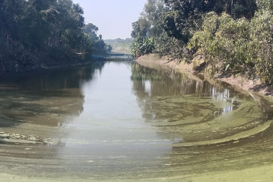 নারদ নদী খননেও উপকার হচ্ছে না কৃষকদের