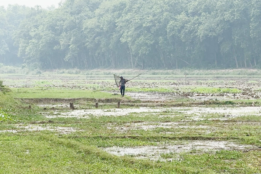 নিষিদ্ধ জালে হুমকির মুখে আশুরার বিল মৎস্য অভয়াশ্রম