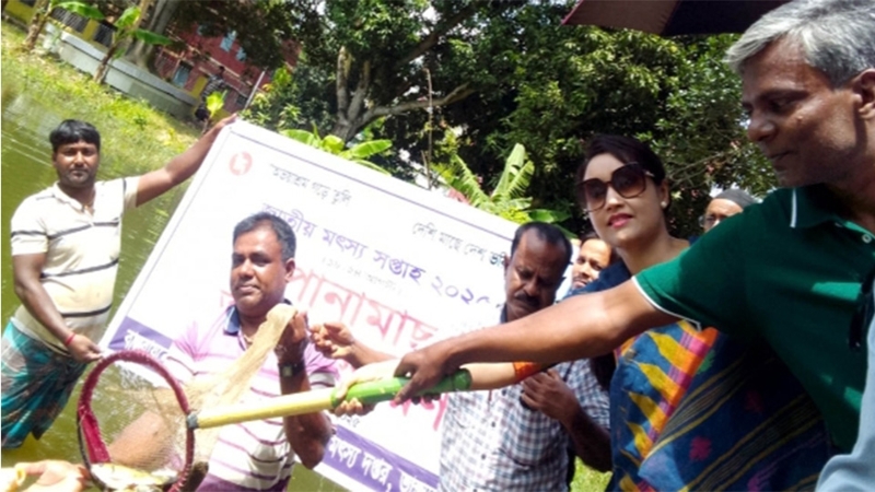 ভাঙ্গুড়ায় জাতীয় মৎস্য সপ্তাহের উদ্বোধন