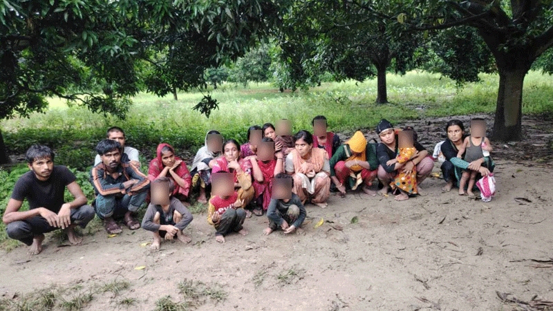 মাসুদপুর সীমান্ত দিয়ে ২০ জনকে ঠেলে পাঠাল বিএসএফ