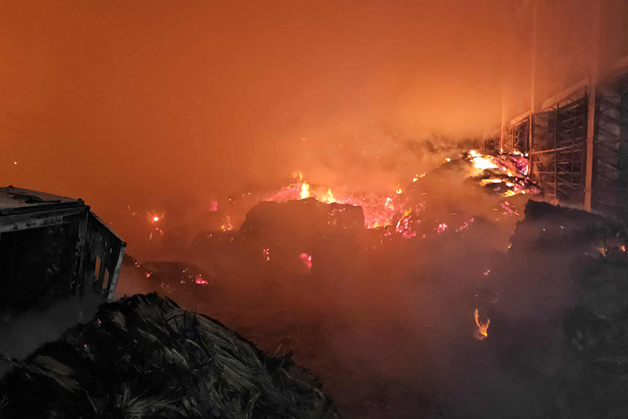 রাজবাড়ীতে অরিয়েট জুট মিলে ভয়াবহ অগ্নিকাণ্ড