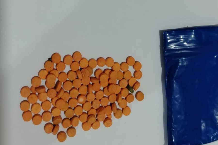 রাজবাড়ীতে ডিবির অভিযানে ২০০ পিস ইয়াবাসহ দুই যুবক গ্রেপ্তার