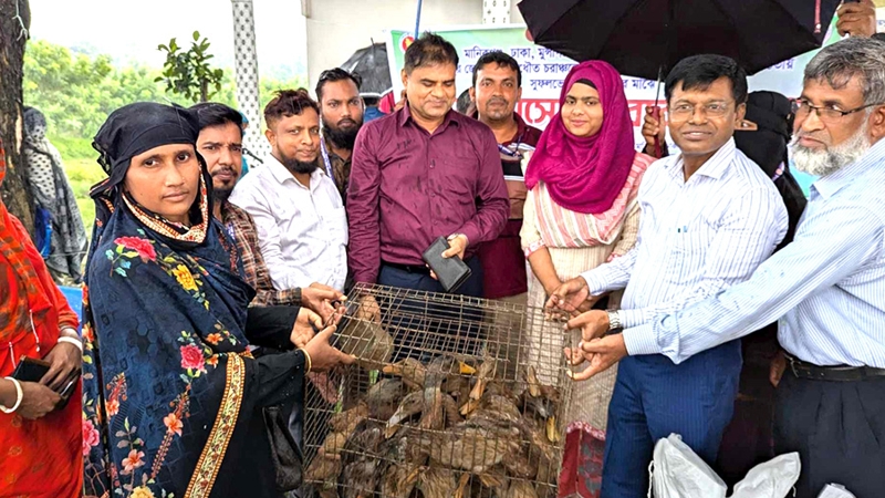 রাজবাড়ীতে ১১৩ খামারির মাঝে উন্নত জাতের হাঁস ও খাদ্য বিতরণ