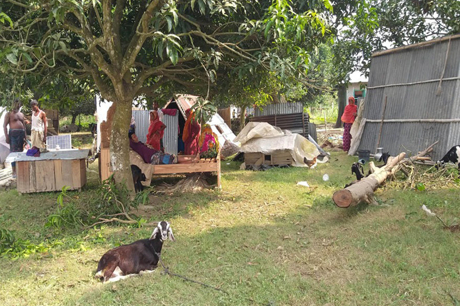 রাজশাহী বাঘায় পদ্মার ভাঙনে খোলা আকাশের নিচে ৬ পরিবার